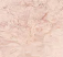 Blush Swirl